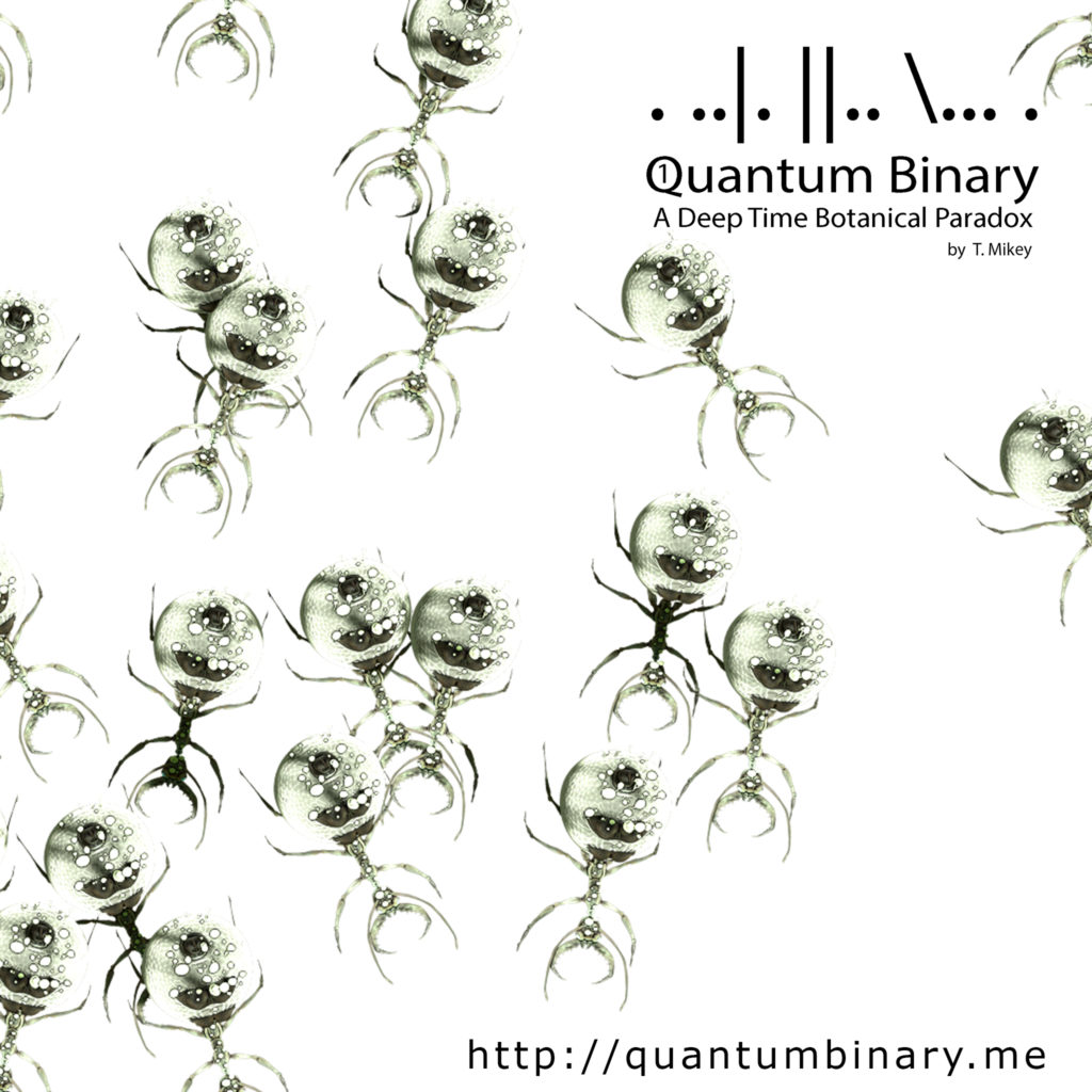 Quantum Binary 001