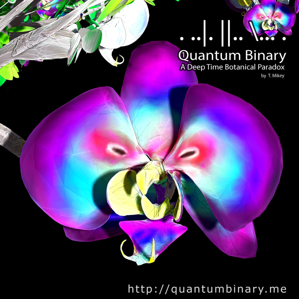 Quantum Binary