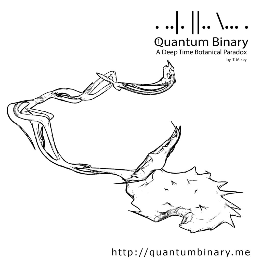 Quantum Binary