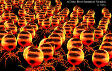 Quantum Binary