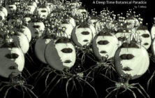 Quantum Binary