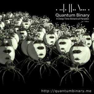 Quantum Binary