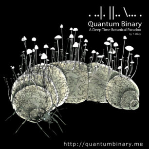 Quantum Binary