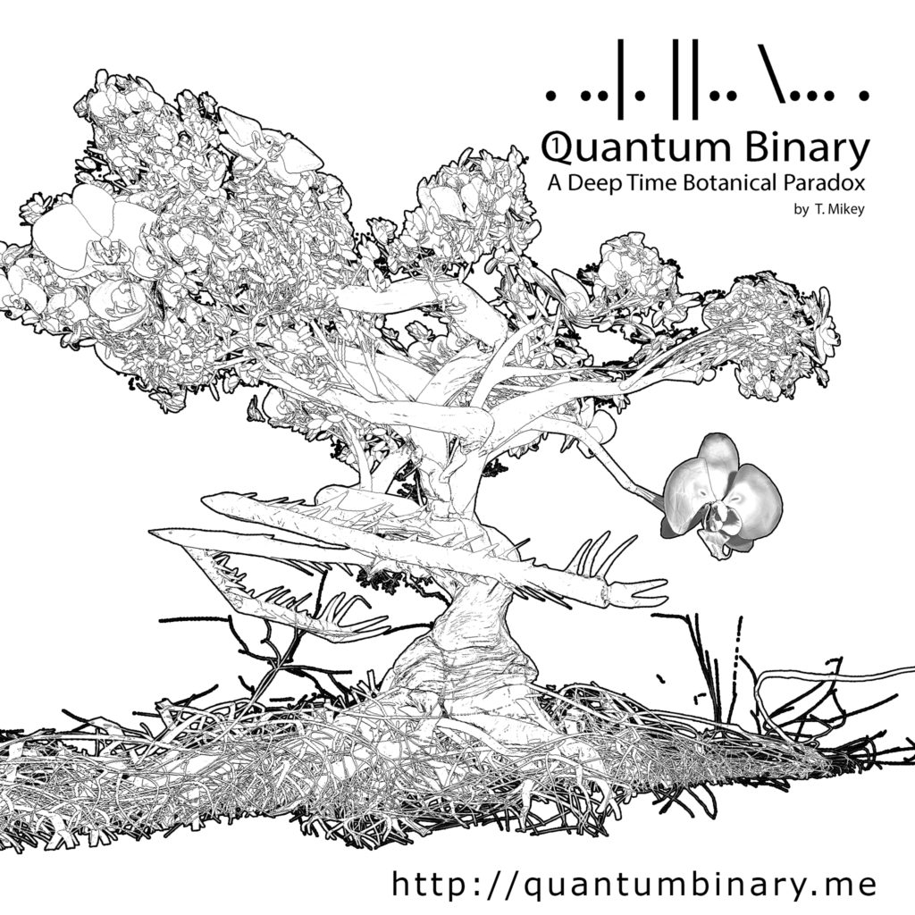 Quantum Binary