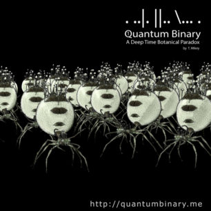 Quantum Binary