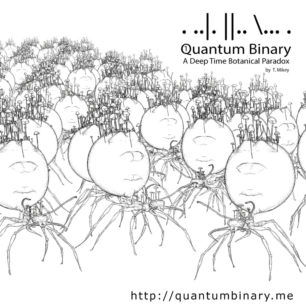 Quantum Binary