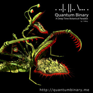 Quantum Binary