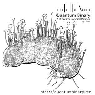 Quantum Binary