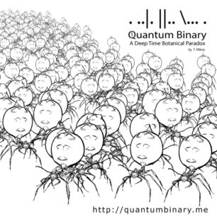 Quantum Binary