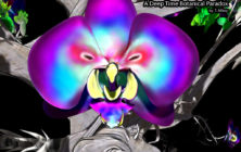 Quantum Binary