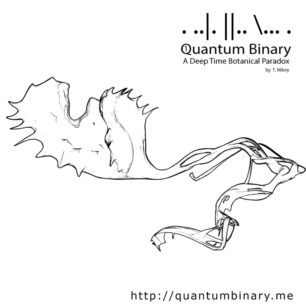 Quantum Binary