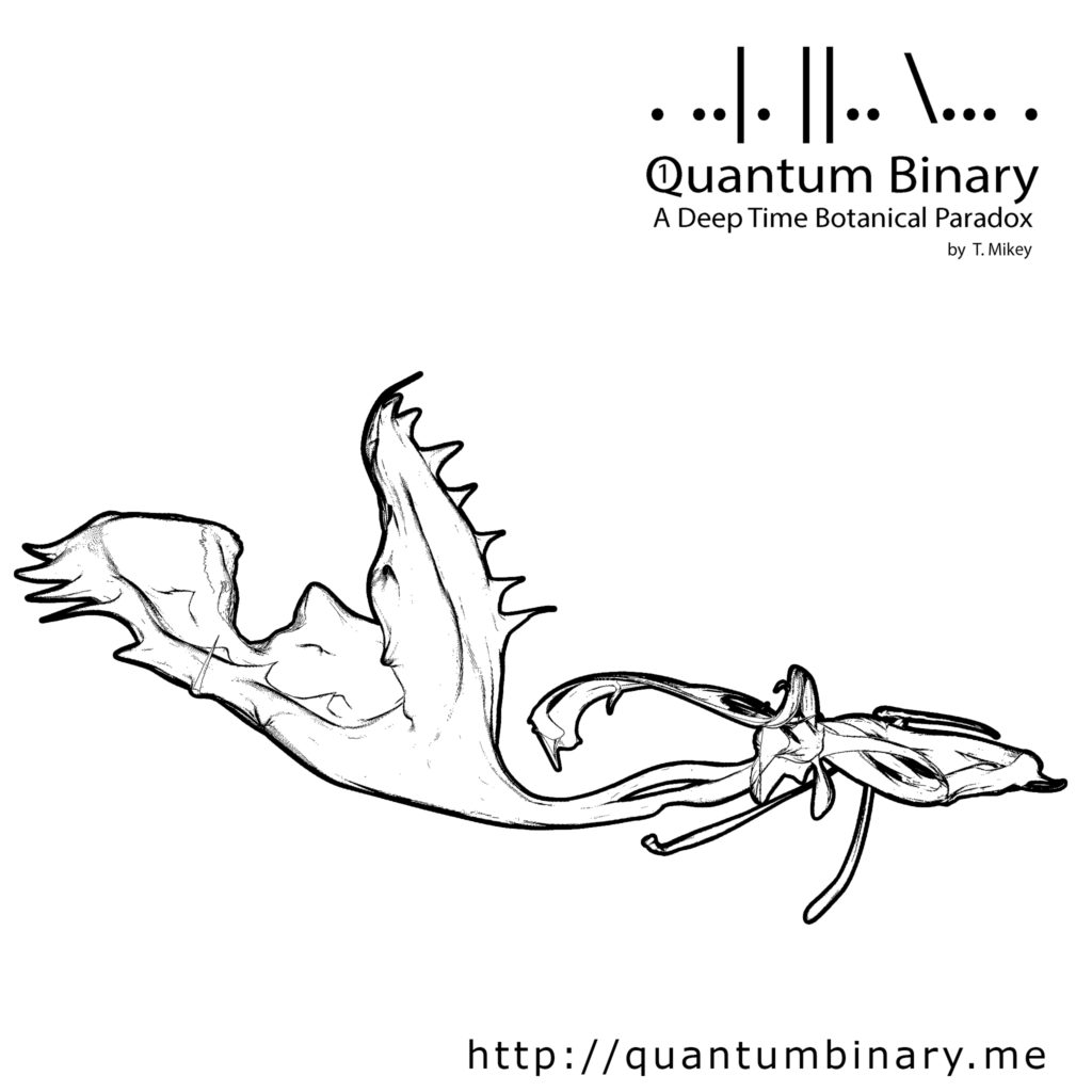 Quantum Binary