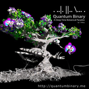 Quantum Binary