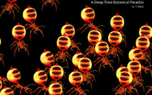 Quantum Binary