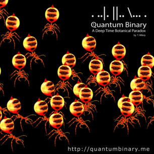 Quantum Binary