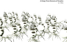 Quantum Binary