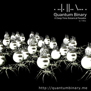 Quantum Binary