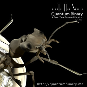 Quantum Binary