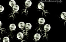 Quantum Binary