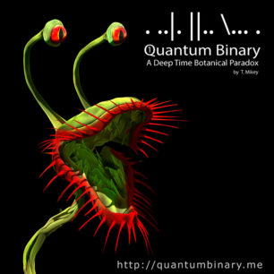 Quantum Binary