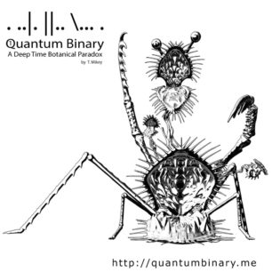 Quantum Binary