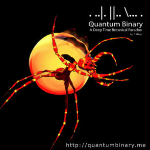 Quantum Binary