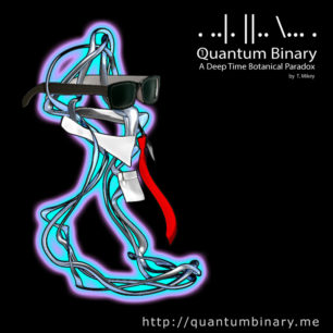 Quantum Binary