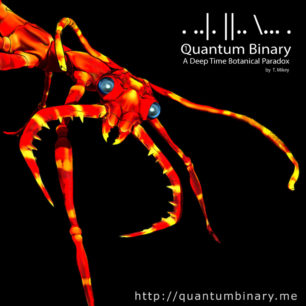 Quantum Binary