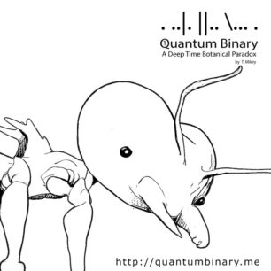 Quantum Binary