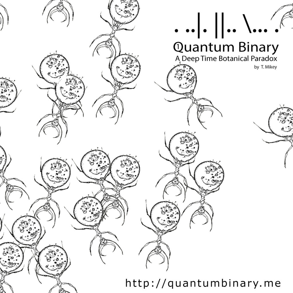 Quantum Binary