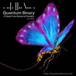 Quantum Binary