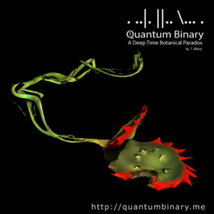 Quantum Binary