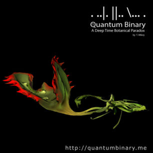 Quantum Binary