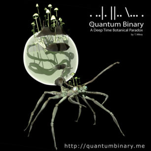 Quantum Binary