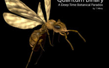 Quantum Binary