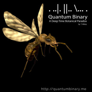 Quantum Binary