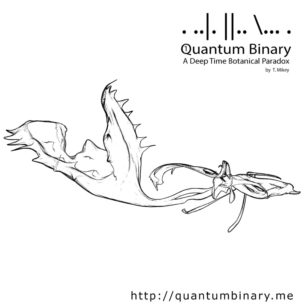 Quantum Binary