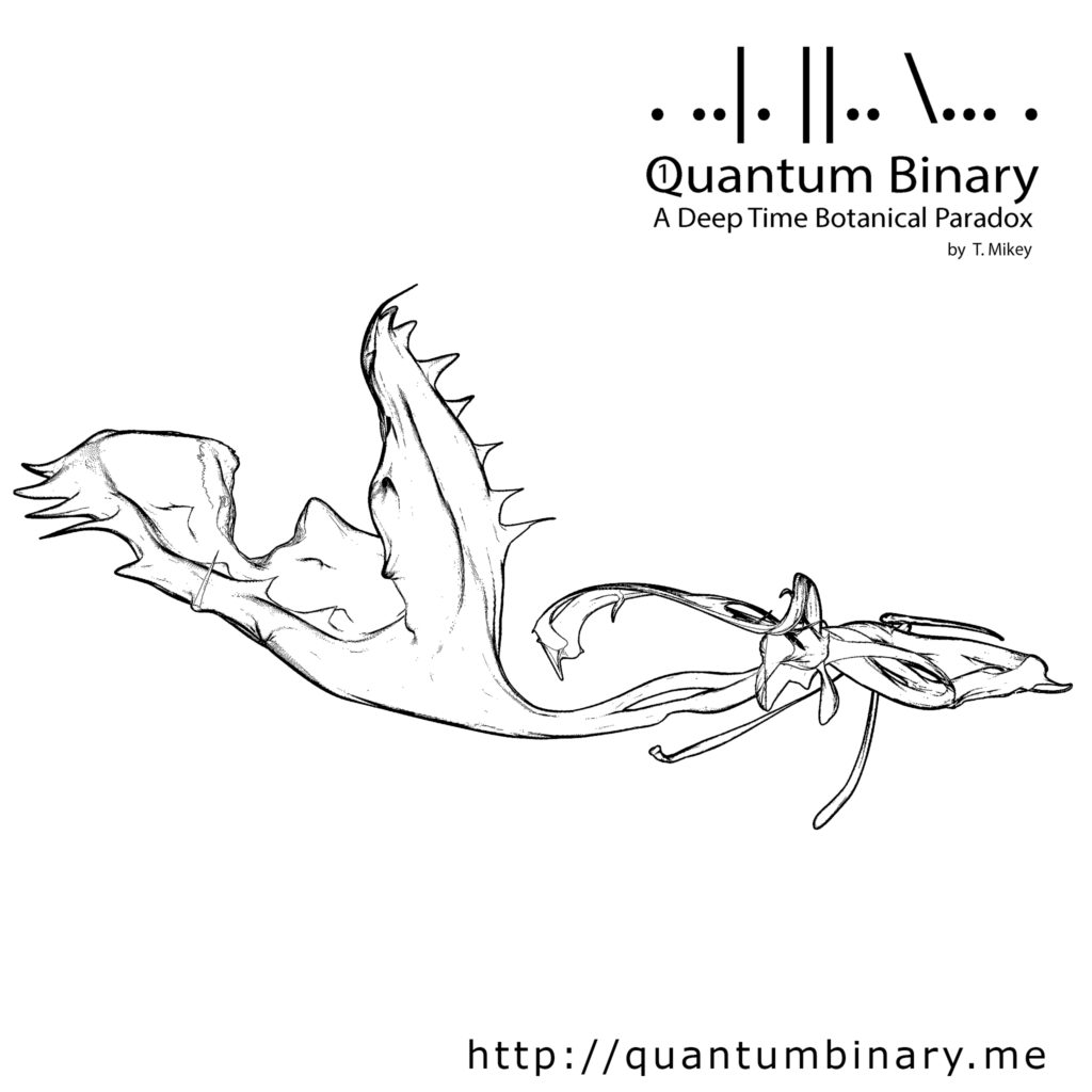 Quantum Binary